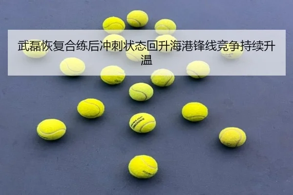 武磊恢复合练后冲刺状态回升海港锋线竞争持续升温
